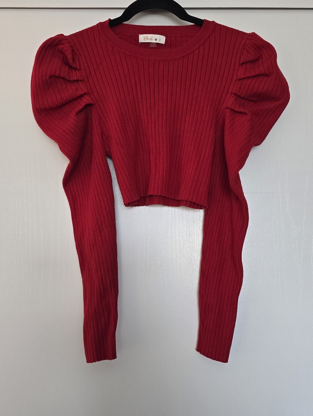 Blush J - Red Ribbed Knit Cropped Puff Long Sleeve Small Top